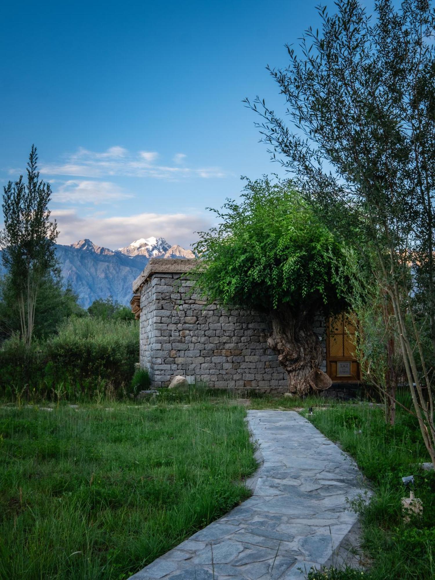 Lchang Nang Retreat-The House Of Trees-Nubra Valley Hotel Sumur Exterior foto